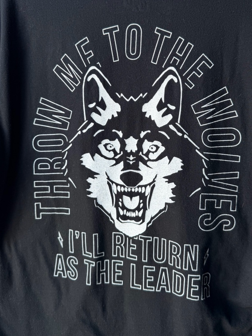 Diesel Power Wolf Graphic T Shirt Men’s Large Black “Throw Me To The Wolves” Tee